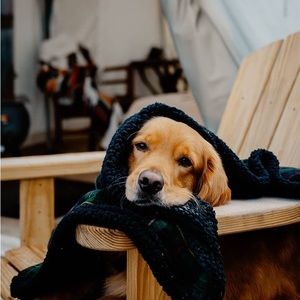 Meet your Posher, Max